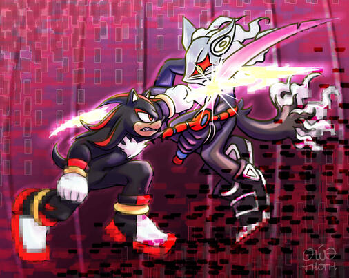 Shadow the Hedgehog and Infinite fighting